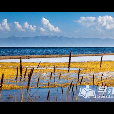 三星堆青铜人像？1929年春，当地农民燕道诚在宅旁挖水沟时，发现了一坑精美的玉器，由此拉开三星堆文明的研究序幕。那么，三星堆青铜人像？一起来了解下吧。