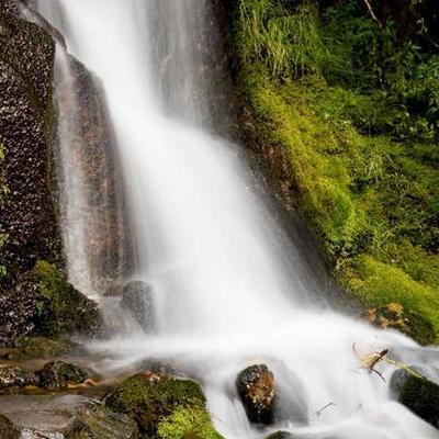 抚仙湖旅游攻略？吃当地的特色菜，住住宾馆在抚仙湖中乘乘船，感受感受抚仙湖清澈的湖水。另外，旁边还有娱乐的休闲的，如保龄球、射箭等等，到了。那么，抚仙湖旅游攻略？一起来了解下吧。