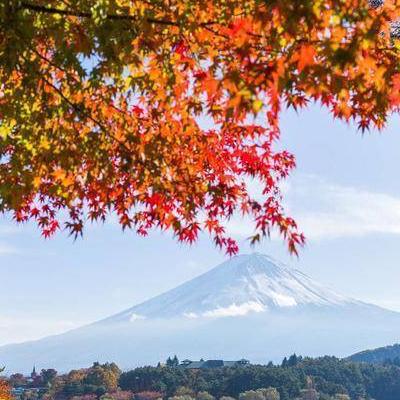 莲花城？莲花山门票：30元/人(学生证半折)；登莲花塔2元/人，进莲花城3元/人。。那么，莲花城？一起来了解下吧。