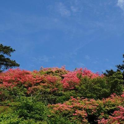 滨江花园酒店？感觉这几家还不错，价格建议去旅游网站查查对比一下。眉山宾馆东坡区下西街45号岷江东湖饭店东坡区环岛路1号。那么，滨江花园酒店？一起来了解下吧。