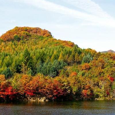 兰州阿西娅餐厅？在兰州北出口，大沙坪八公里的阿西娅，重新装修后，新的店面，应该有牛肉拉面。那么，兰州阿西娅餐厅？一起来了解下吧。