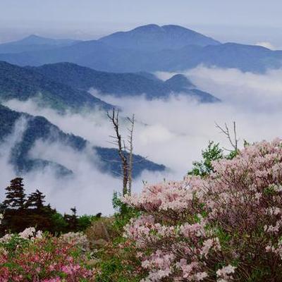 山西旅游图？从山西北部一路往南说起吧。那么，山西旅游图？一起来了解下吧。