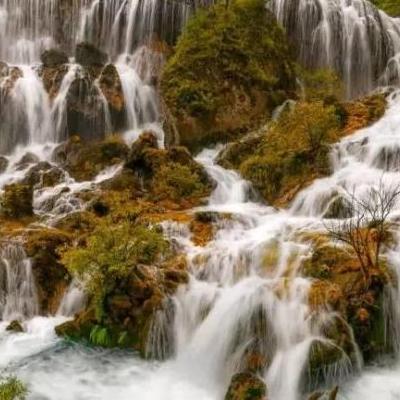 赭山公园？有好几个大门呢正大门在东方皖南医学院大门在西方铁山巷还有个小门,在南方去东大门坐中江桥方向的10路.或者4路车,到赭山公。那么，赭山公园？一起来了解下吧。