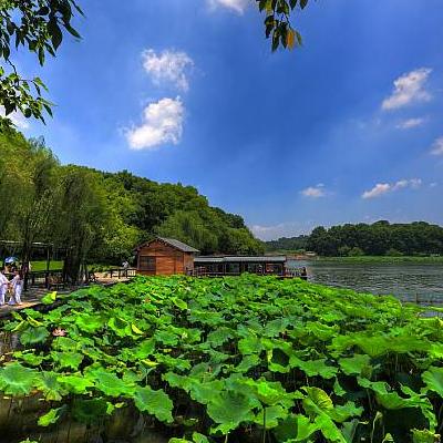 江南小镇在哪里？两边的烟雨长廊非常古朴，一到晚上两岸全部点起串串美丽的大红灯笼。那么，江南小镇在哪里？一起来了解下吧。