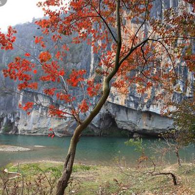 那年花开月正圆？眼前美景易逝去，那年花开月正圆。。那么，那年花开月正圆？一起来了解下吧。