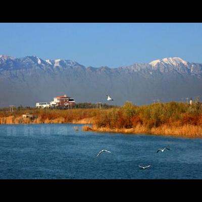 乌尤寺？个人觉得是峨眉山的万年寺，。那么，乌尤寺？一起来了解下吧。